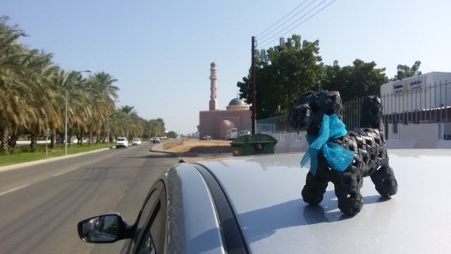 Abu Doggie off on adventures around the Middle East